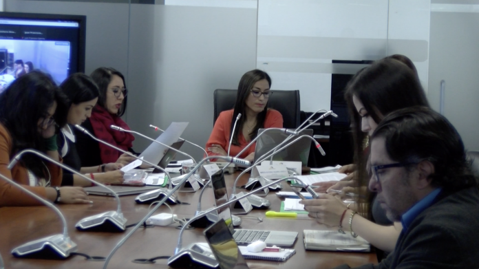 Comisión Ocasional presenta informe