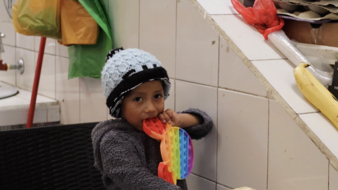 Desnutrición Crónica Infantil