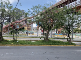 Puente peatonal y árboles
