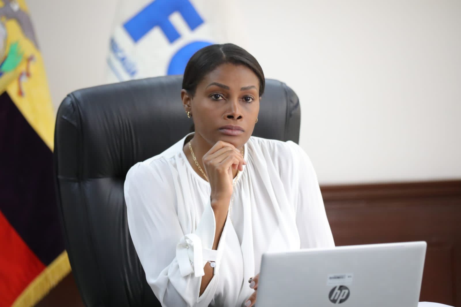 En el salón del pleno del Consejo de Participación Ciudadana acusaron a Diana Salazar de 'plagiar el 40 %' de su tesis universitaria, Política, Noticias
