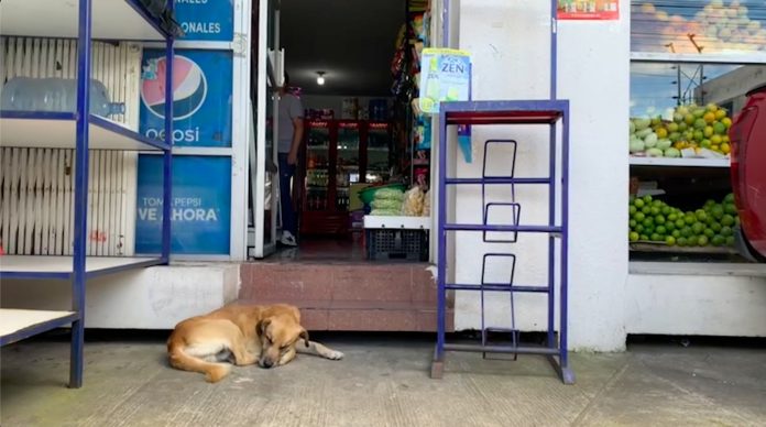 Inseguridad en Amagasí del Inca