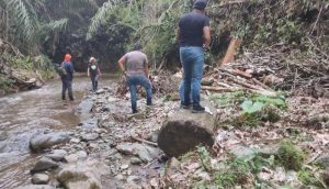 Pacto es una de las 6 parroquias de Quito que pertenecen a la reserva del Chocó Andino.