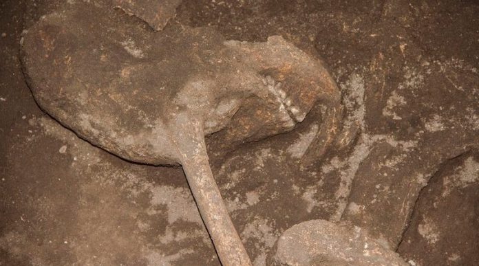 QUITO. Vasijas de barro, osamentas y artefactos de piedra fueron encontrados en Llano Chico. El Instituto de Patrimonio mencionó que los restos óseos corresponden a hombres y mujeres que llegaron a a una edad máxima de 40 años.