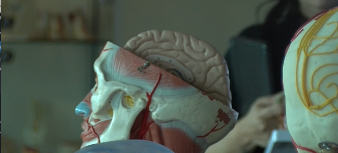 Accidentes Cerebrovasculares en Ecuador