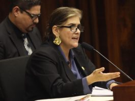 Mónica Palencia en el juicio político el 23 de octubre de 2024