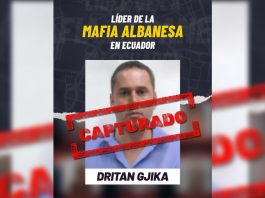 Dritan Gjika, líder de la mafia albanesa, fue detenido en Emiratos Árabes. Enfrenta cargos por narcotráfic y lavado de activos.