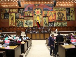 El proyecto de ley sobre áreas protegidas enviado con carácter económico urgente genera debate en la Asamblea por incluir reformas ajenas al tema ambiental.