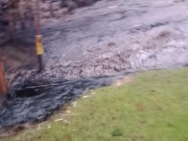 Un nuevo derrame de petróleo se registró el 3 de julio entre Cuyuja y Papallacta, en Napo. Foto: Tomada de Primicias.